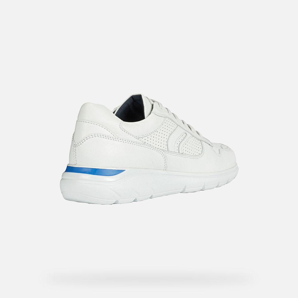 Geox Erkek Spor Ayakkabı Beyaz - Sestiere - FJV-137690